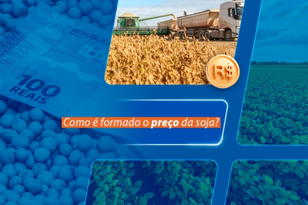 Como é formado o preço da soja?