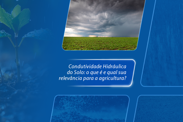 Condutividade Hidráulica do Solo: o que é e qual sua relevância para a agricultura?