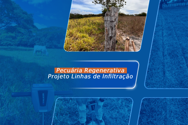 Linhas de infiltração:  estratégia para pastagens durante a época de seca