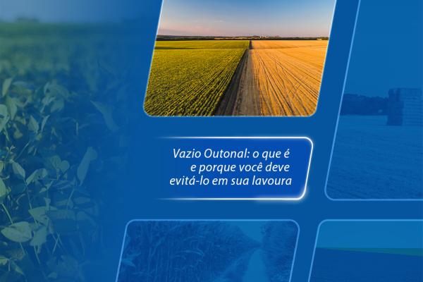 Vazio Outonal: o que é e porque evitá-lo em sua lavoura