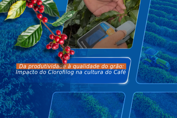 Da produtividade à qualidade do grão: Impacto do Clorofilog na cultura do Café