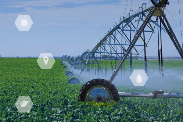 Por que e como fazer uma gestão eficaz dos recursos hídricos na agricultura?